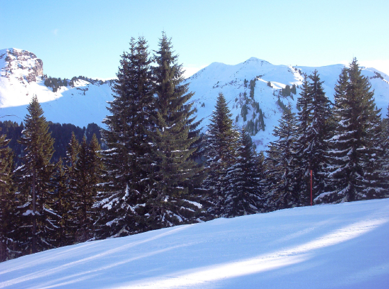 morzine093.jpg