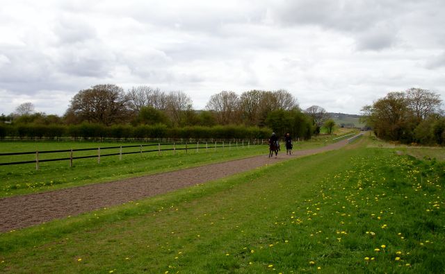 GallopApril2013005r.jpg
