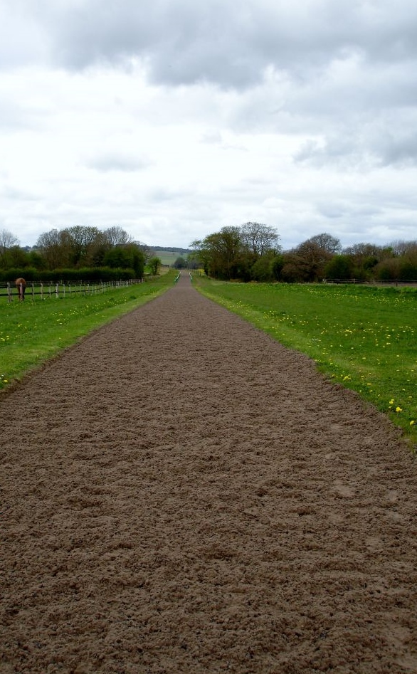GallopApril2013008r.jpg