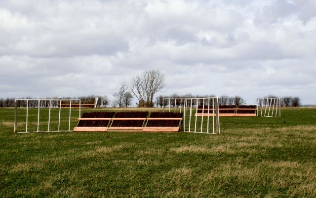 GallopApril2013014r.jpg